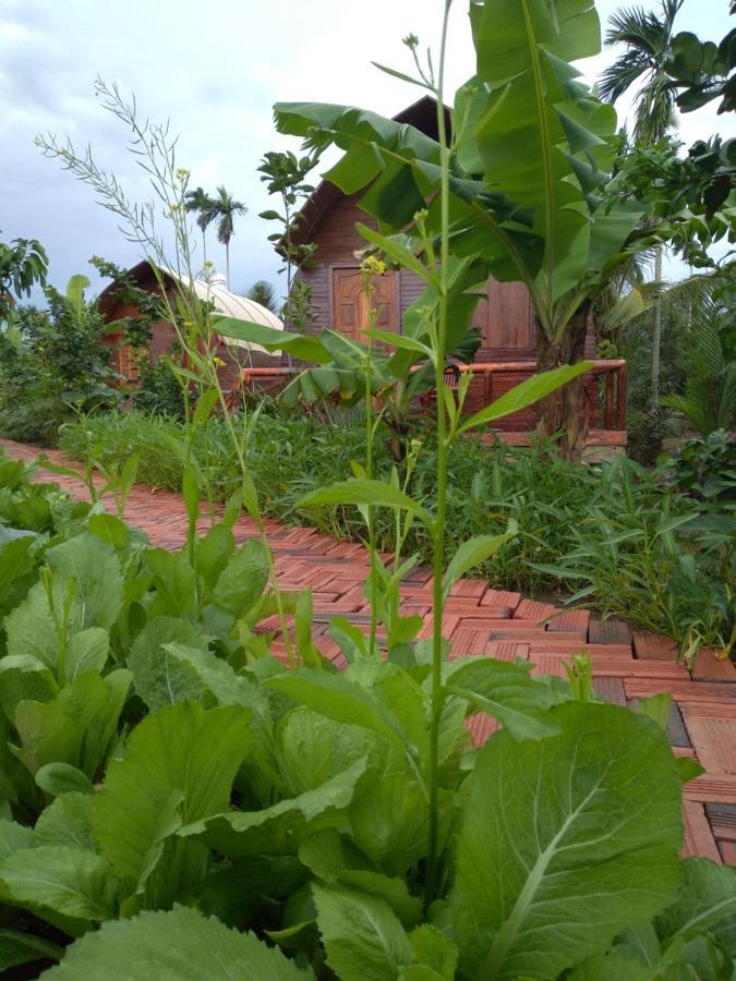 Hong Thai River Side Homestay Ben Tre Bagian luar foto