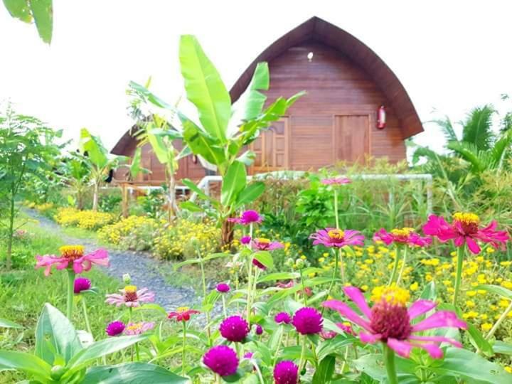 Hong Thai River Side Homestay Ben Tre Bagian luar foto